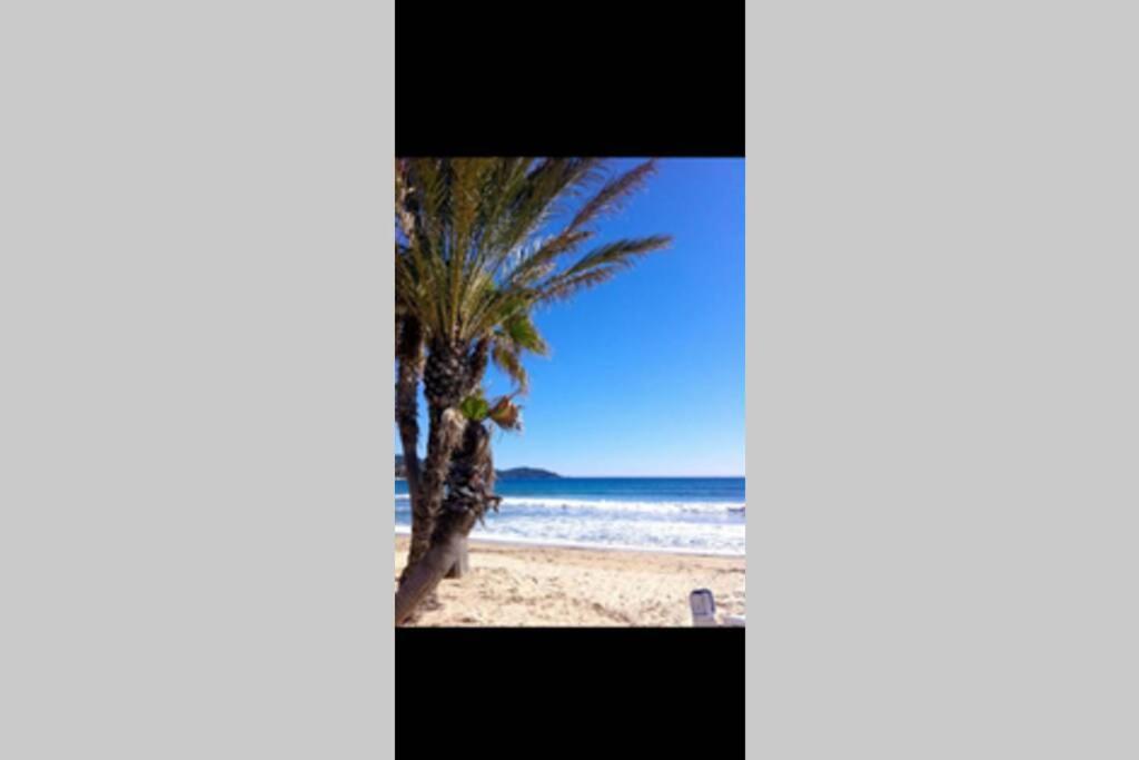 Au Petit Bonheur Vue Mer, Parking, 400M Plage Le Lavandou Exterior foto