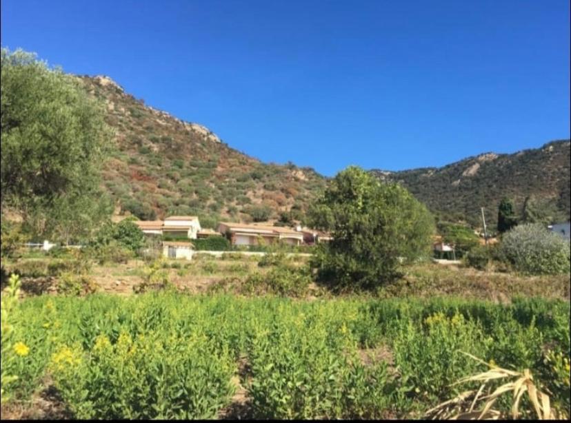 Au Petit Bonheur Vue Mer, Parking, 400M Plage Le Lavandou Exterior foto
